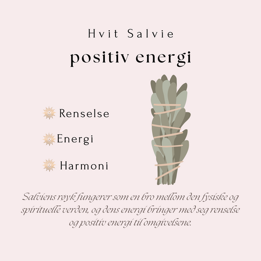 Hvit Salvie – Naturlig røkelse for positiv energi