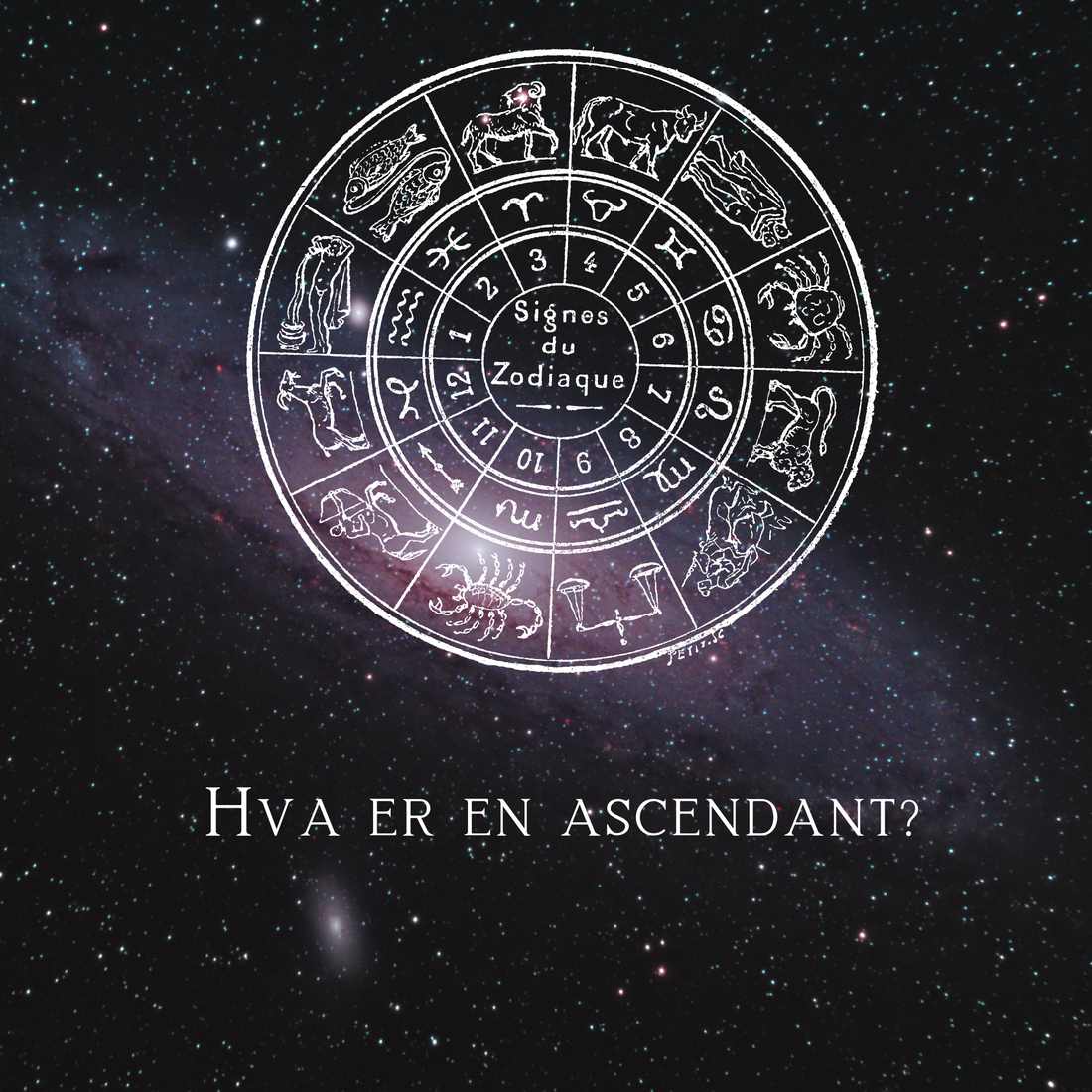 Hva er en ascendant?