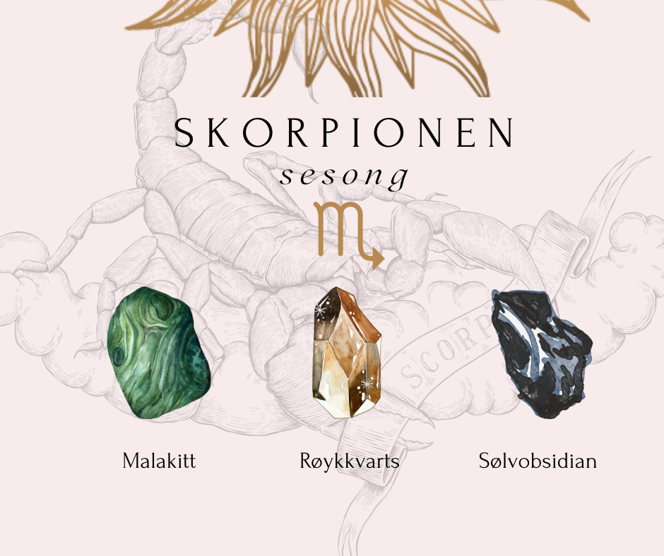 Stjernetegnet - Skorpionen ♏