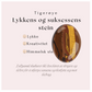 Tigerøye armbånd  - Lykkens og suksessens stein