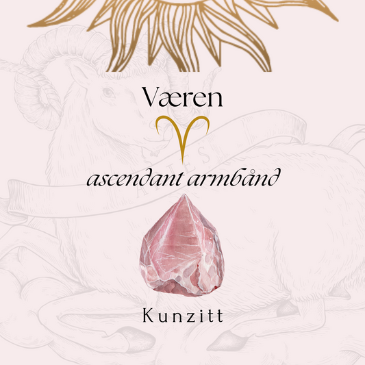 Ascendant Armbånd Væren