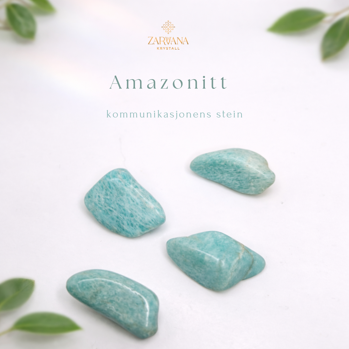 Amazonitt