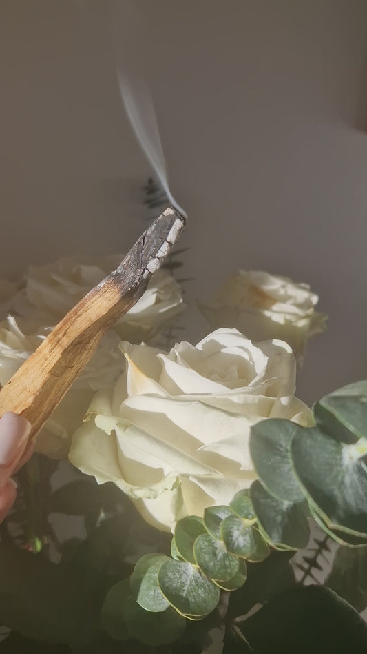 Smudge stick palo santo 5 stk